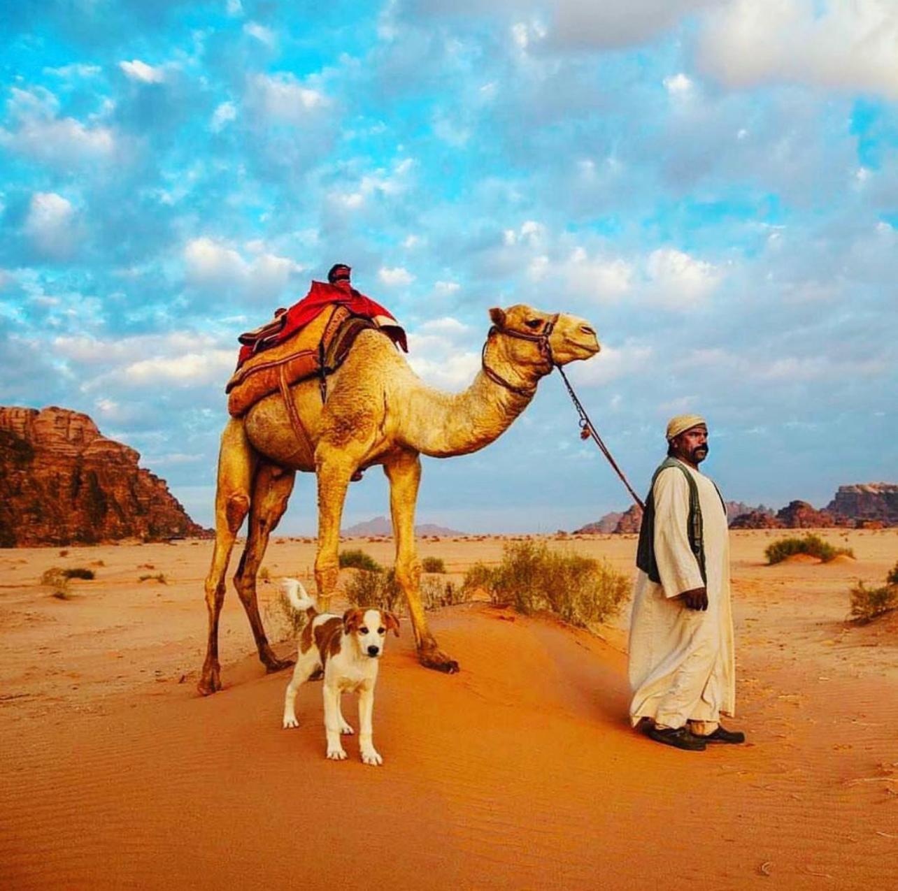 Best Wadi Rum - Private Tours Esterno foto
